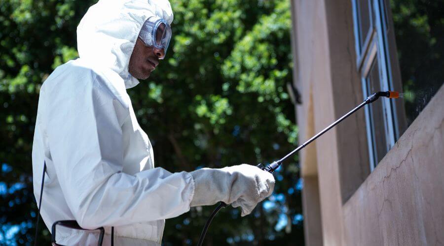 Why choose West Covina Pest Pros for pest control in West Covina